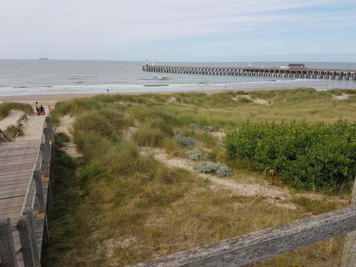 Seacottage Blankenberge - Wenduine De Haan Dış mekan fotoğraf